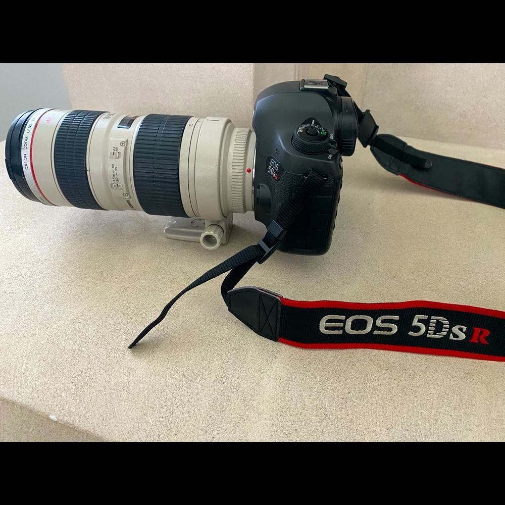 Canon EOS 5DSR  with Canon Zoom Lens EF 70-200mm.